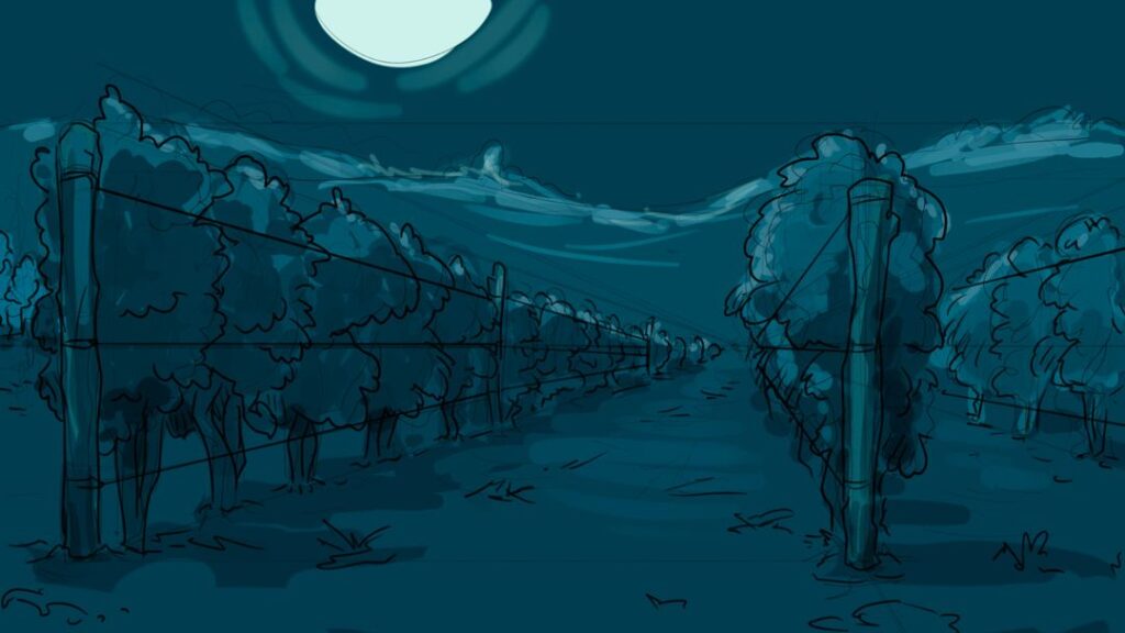 storyboard-leggenda-gallo-nero-chianti-classico-swolly-1