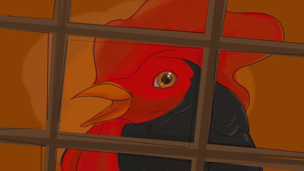 storyboard-leggenda-gallo-nero-chianti-classico-swolly-15